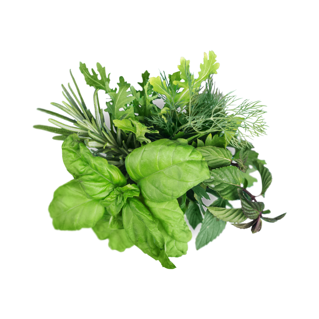 herbs-micro-greens-greengrocer-co-nz