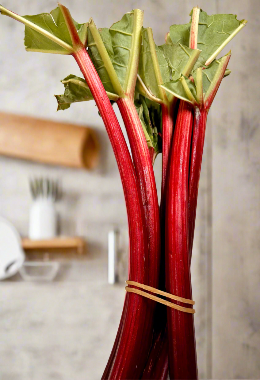 RHUBARB - Lovely bunches