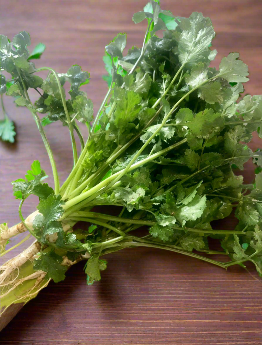 Coriander - Supa Fragrant with the roots on !