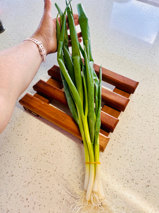 Spring Onions @  LARGE  bunches