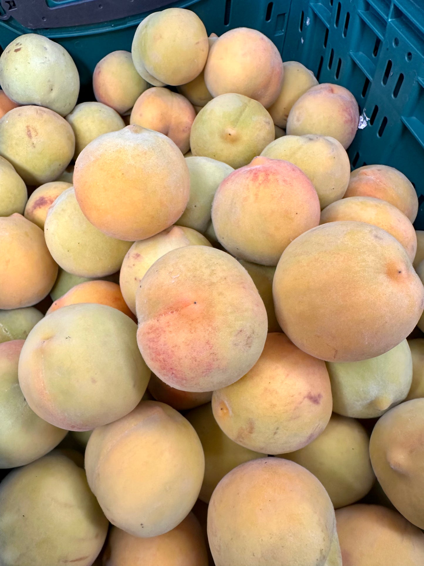 Peaches-  Golden Tatura $3.80 @1/2 kilo