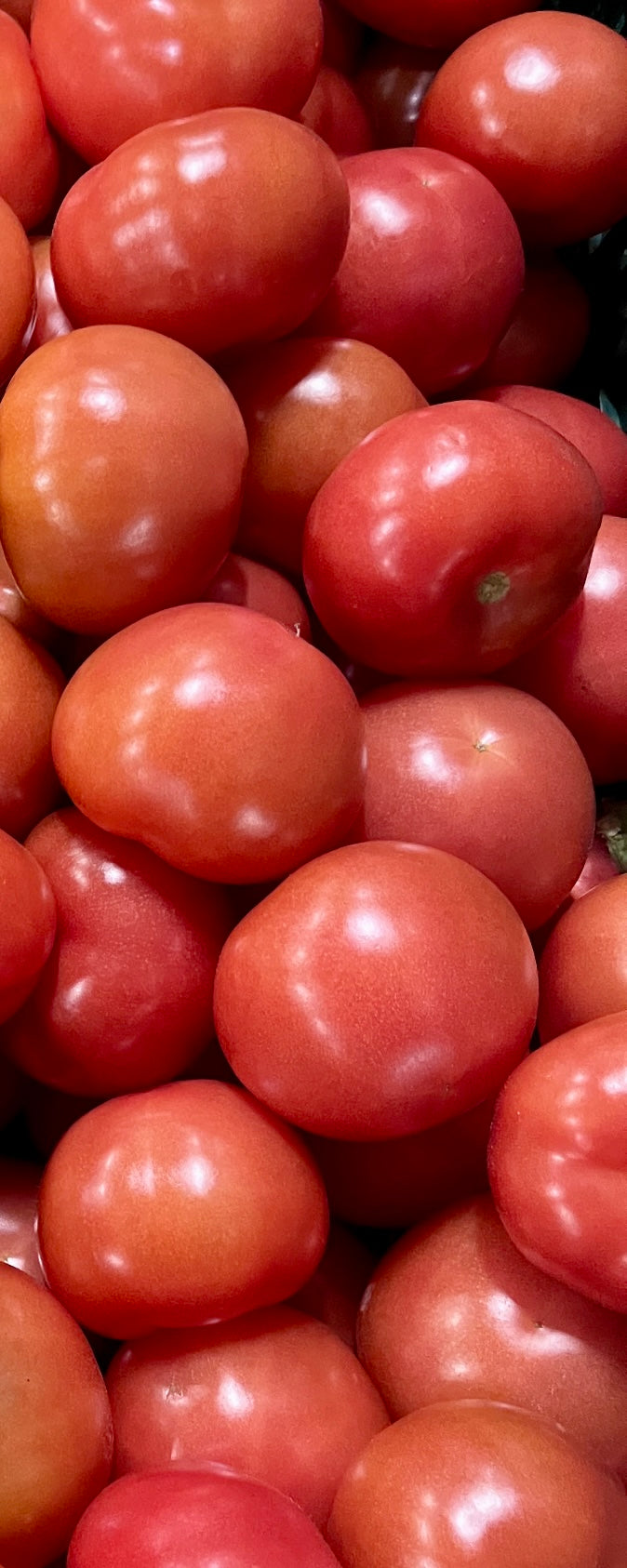 Tomatoes-  1/2 kilo