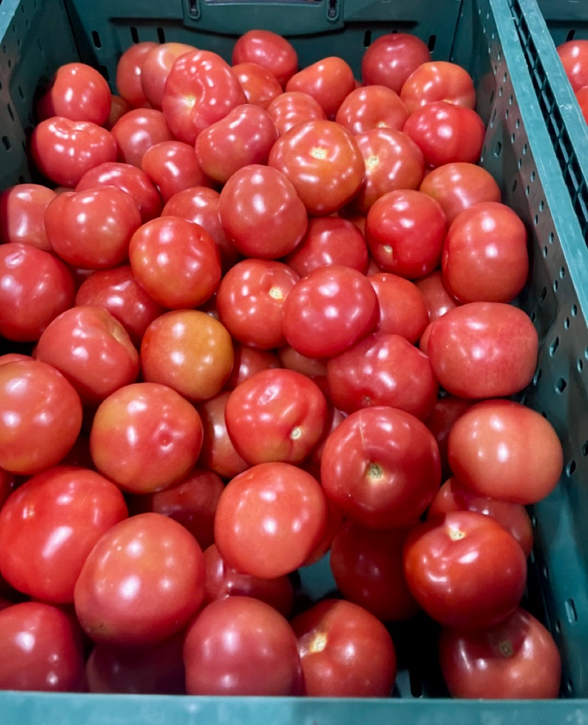 Tomatoes- @ 1/2 Kilo New Zealand