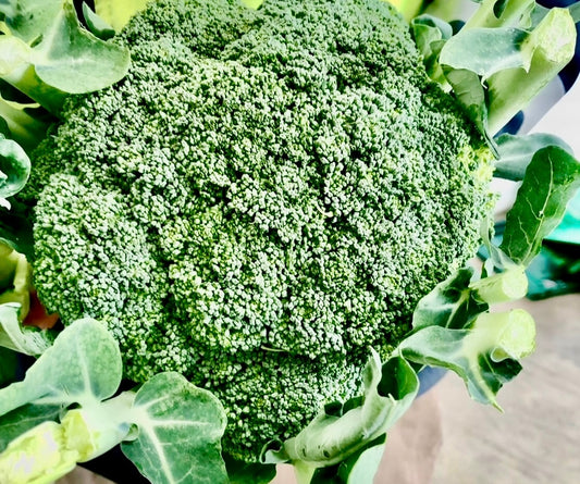 Broccoli - Supa Dupa fresh