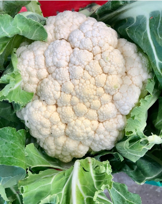 Cauliflower- extra large